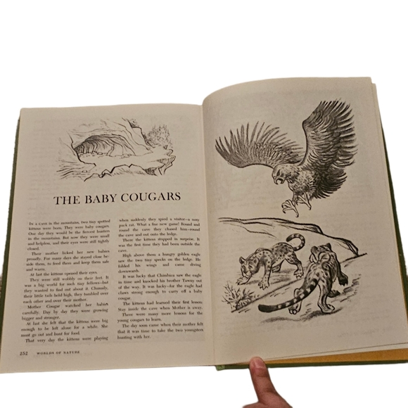 Vintage Walt Disney Worlds of Nature Book - Picture 9 of 11